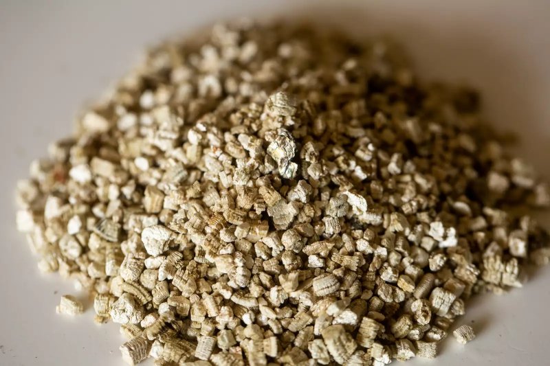 vermiculite chuẩn bị sử dụng trong Soilless Potting Mix