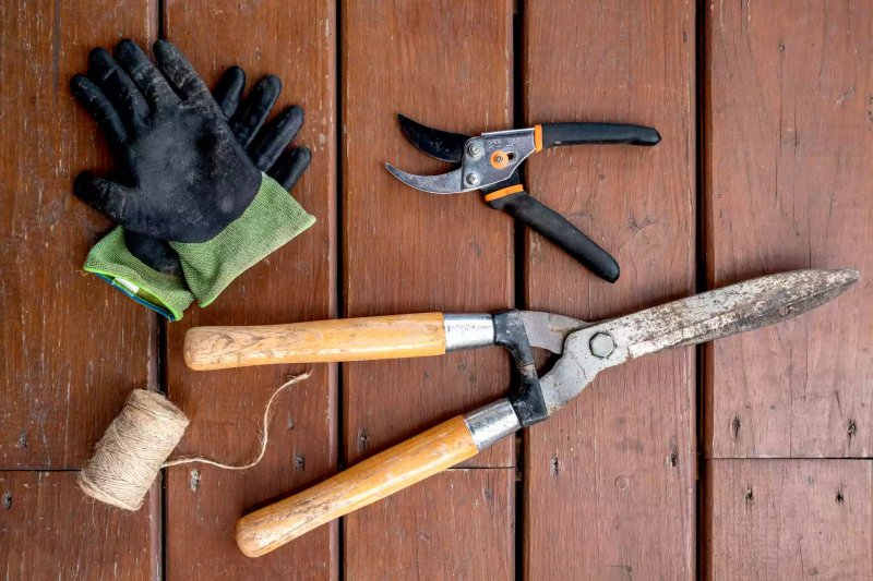Vật liệu và dụng cụ uốn và cắt tỉa hoa hồng leo trên mặt gỗ  The Spruce / Adrienne Legault