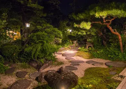 Khu vườn Nhật Bản được chiếu sáng vào ban đêm