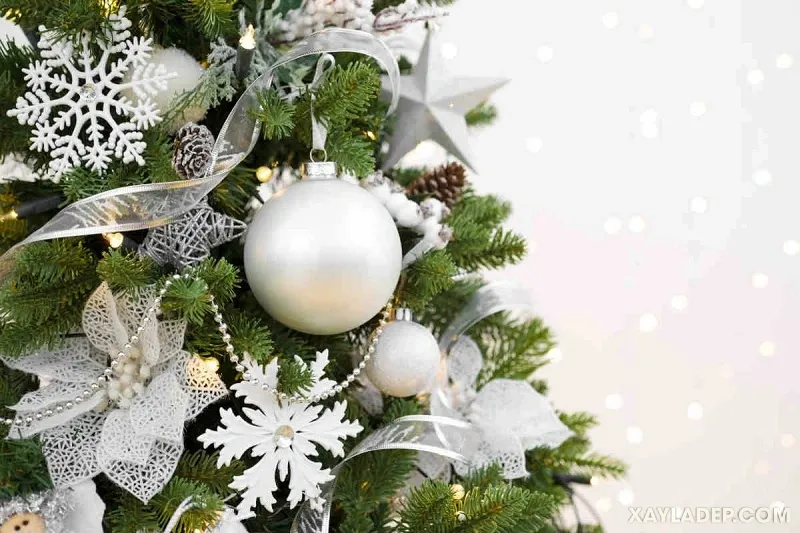 Một cây thông Noel màu trắng và bạc trang trí thú vị